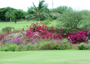 Coral Creek Golf - Green Fee - Tee Times