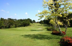 Palm Resort Golf Country Club - Green Fee - Tee Times