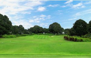 Orchard Golf Country Club - Green Fee - Tee Times