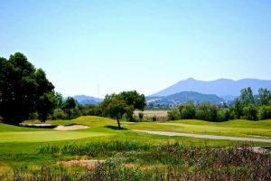 Stone Tree Golf Club - Green Fee - Tee Times