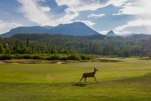 The Raven Golf Club at Three Peaks - Green Fee - Tee Times