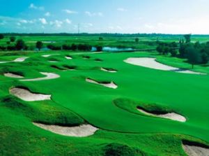 Omni ChampionsGate National Course - Green Fee - Tee Times