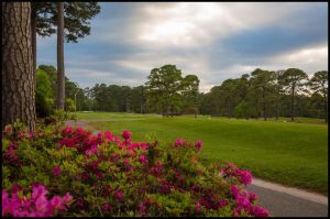 Beachwood Golf Club - Green Fee - Tee Times