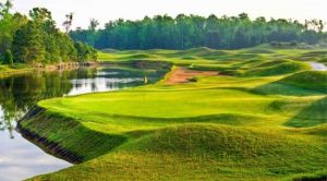 Barefoot Resort - Dye Course - Green Fee - Tee Times