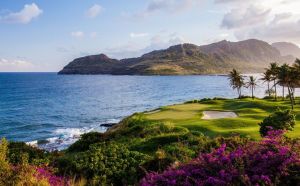 Kauai Lagoons Golf Club - Green Fee - Tee Times