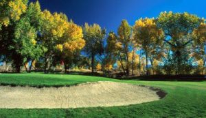 Carson Valley Golf Course - Green Fee - Tee Times
