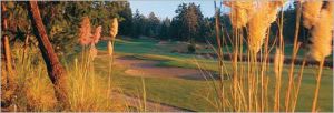 Fairwinds Golf Club - Green Fee - Tee Times