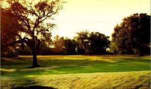 Brooker Creek Golf Club - Green Fee - Tee Times