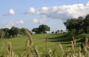 Benalup Golf & Country Club - Green Fee - Tee Times