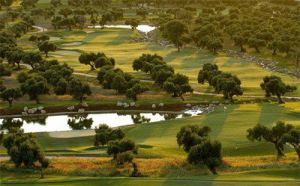 Arcos Gardens Golf Club & Country Estate - Green Fee - Tee Times