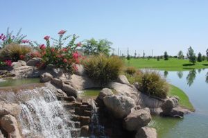 Augusta Ranch Golf Club - Green Fee - Tee Times
