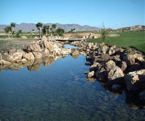 Desert Springs Resort & Golf Club - Green Fee - Tee Times