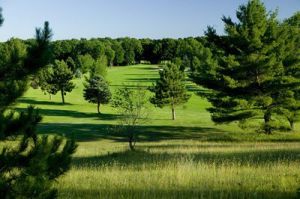 Gaylord Country Club - Green Fee - Tee Times