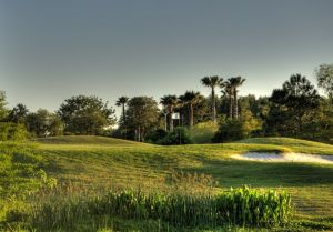 Tampa Bay Golf & Country Club - Green Fee - Tee Times