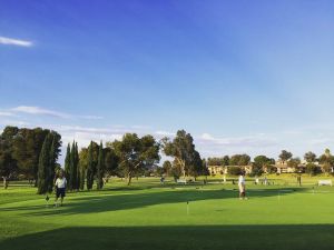 St. Marks Golf Course - Executive Course - Green Fee - Tee Times