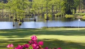 Cypress Lakes Golf Course - Green Fee - Tee Times