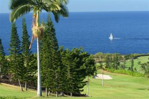 Kona Country Club - Mountain Course - Green Fee - Tee Times