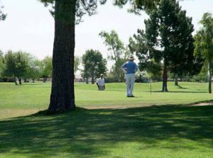 Sun City South Golf Course - Green Fee - Tee Times