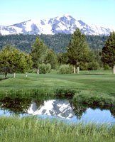 Lake Tahoe Golf Club - Green Fee - Tee Times