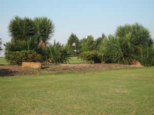 Stone River Golf Club - Green Fee - Tee Times