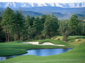 The Rim Golf Club - Green Fee - Tee Times