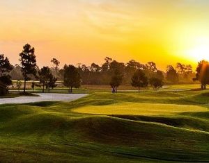 PGA Golf Club - Dye Course - Green Fee - Tee Times