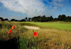 Seapoint Golf Links - Green Fee - Tee Times
