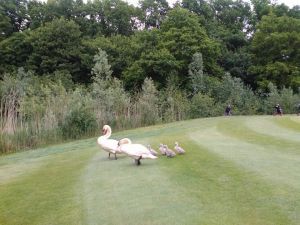 Golfbaan de Lage Mors - 9 Hole - Green Fee - Tee Times