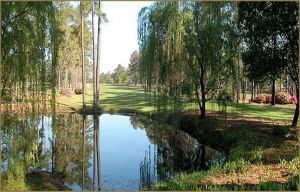 Eagle Nest Golf Club - Green Fee - Tee Times