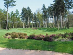 Forest Pines - Pines - Green Fee - Tee Times