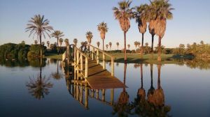 Costa Ballena Ocean Golf Club - Olivos/Palmera - Green Fee - Tee Times
