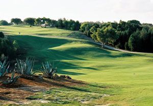Golf Citrus - Forêt Course - Green Fee - Tee Times