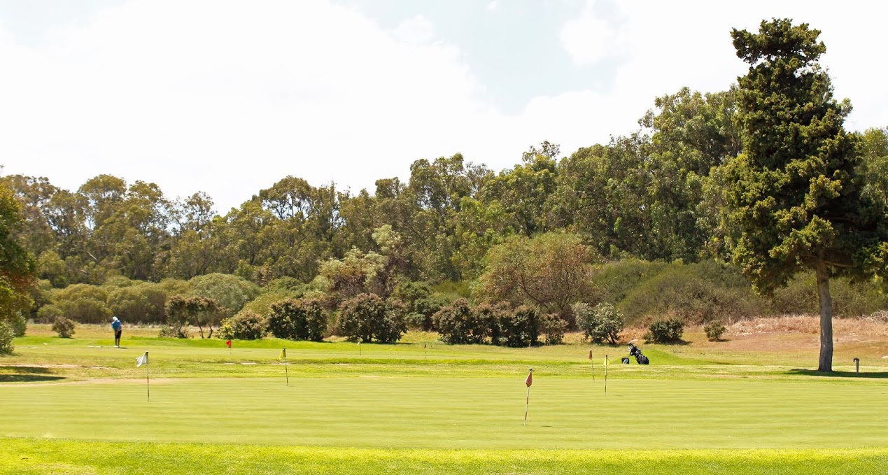 King David Golf Course - Green Fee - Tee Times