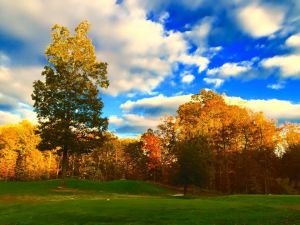 Forest Greens Golf Club - Green Fee - Tee Times