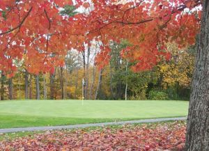 Martindale Country Club - Green Fee - Tee Times
