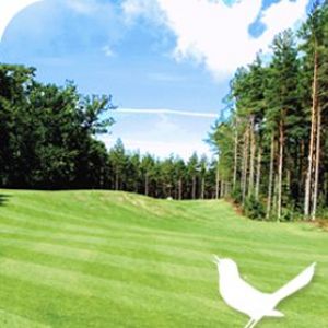 Böda Sands Golfklubb - BödaKroken - Green Fee - Tee Times