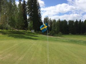 Sala Golfklubb - 18-hålsbanan - Green Fee - Tee Times