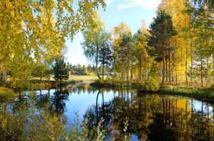 Sollerö Golfklubb - Sollerö Golfbana - Green Fee - Tee Times