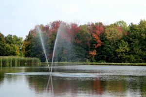 The Woods at Possum Run - Green Fee - Tee Times