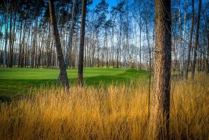 Eurovalley Golf Park - PINE (9) - Green Fee - Tee Times