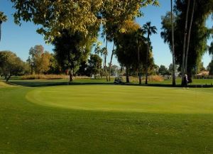 Orange Tree Golf Club - Green Fee - Tee Times