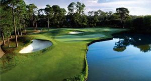 Shalimar Pointe Golf and Country Club -SemiPrivate - Green Fee - Tee Times