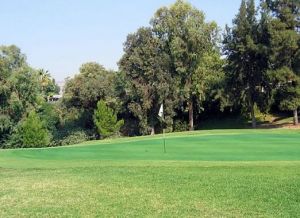 Knollwood Golf Course - Green Fee - Tee Times